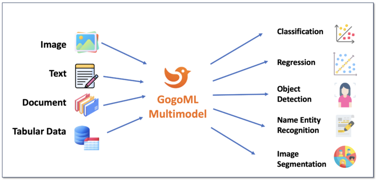 GogoML Multimodal Overview